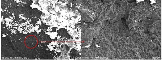 圖2 斷口源區(qū)宏、微觀形貌，沿晶特征+二次裂紋