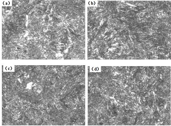 圖12-15 （a、b、c、d） 1～4號樣金相組織 500×