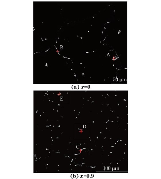 圖3 鑄態(tài)MgG5ZnG1MnGxSn合金的背散射電子像 圖3 鑄態(tài)MgG5ZnG1MnGxSn合金的背散射電子像