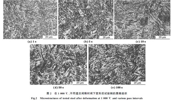 圖２ 在１０００ ℃、不同道次間隔時(shí)間下變形后試驗(yàn)鋼的顯微組織