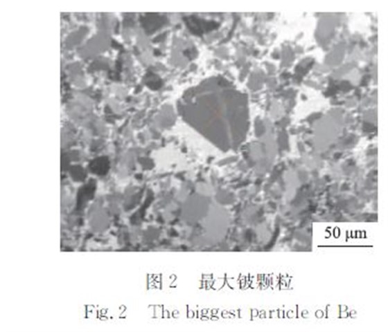 最大鈸顆粒 最大鈸顆粒