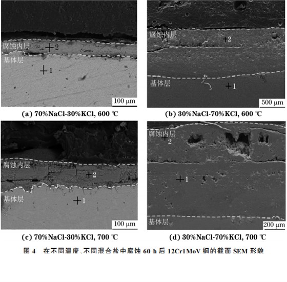 在不同溫度、不同混合鹽中腐蝕６０h后１２Cr１MoV鋼的截面SEM 形貌