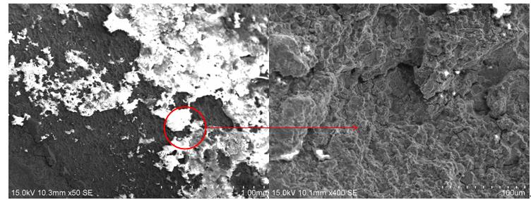 鹽酸水溶液超聲波清洗后斷口宏、微觀形貌