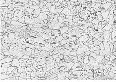 GH4169螺栓固溶時效金相組織 100×