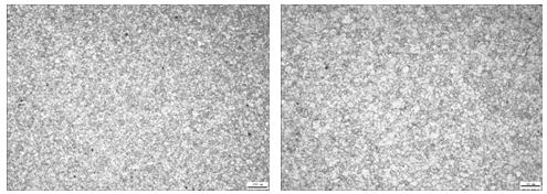 30CrMnSi沉頭螺栓未熱處理金相組織 30CrMnSi沉頭螺栓未熱處理金相組織