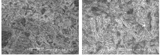 圖16-69 無裂紋件的組織形貌 500×圖16-70 無裂紋件的組織形貌 1000× 圖16-69 無裂紋件的組織形貌 500×圖16-70 無裂紋件的組織形貌 1000×