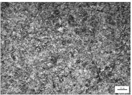 圖14-80 沒有斷裂螺栓顯微組織 圖14-80 沒有斷裂螺栓顯微組織