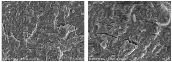 圖11-133 疲勞擴(kuò)展區(qū)疲勞條帶 圖11-134疲勞擴(kuò)展區(qū)疲勞條帶 圖11-133 疲勞擴(kuò)展區(qū)疲勞條帶 圖11-134疲勞擴(kuò)展區(qū)疲勞條帶