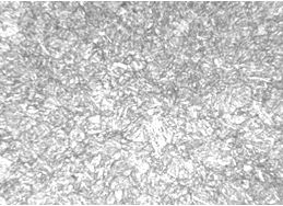 圖5-8 1Cr12Ni2WMoVNb螺栓淬火回火金相組織 200×