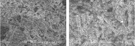 圖16-69 無裂紋件的組織形貌 500×圖16-70 無裂紋件的組織形貌 1000× 圖16-69 無裂紋件的組織形貌 500×圖16-70 無裂紋件的組織形貌 1000×