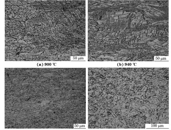 圖５ 在不同溫度、應變速率為０．０１０s－１下壓縮至應變量為７０％后GH４１６９合金的顯微組織