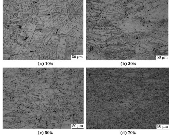 圖４ 在９８０ ℃、應(yīng)變速率為０．０１０s－１
