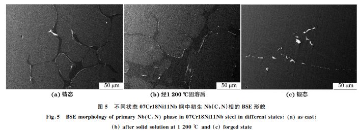 圖5 不同狀態(tài)07Cr18Ni11Nb鋼中初生 Nb(C，N)相的 BSE形貌